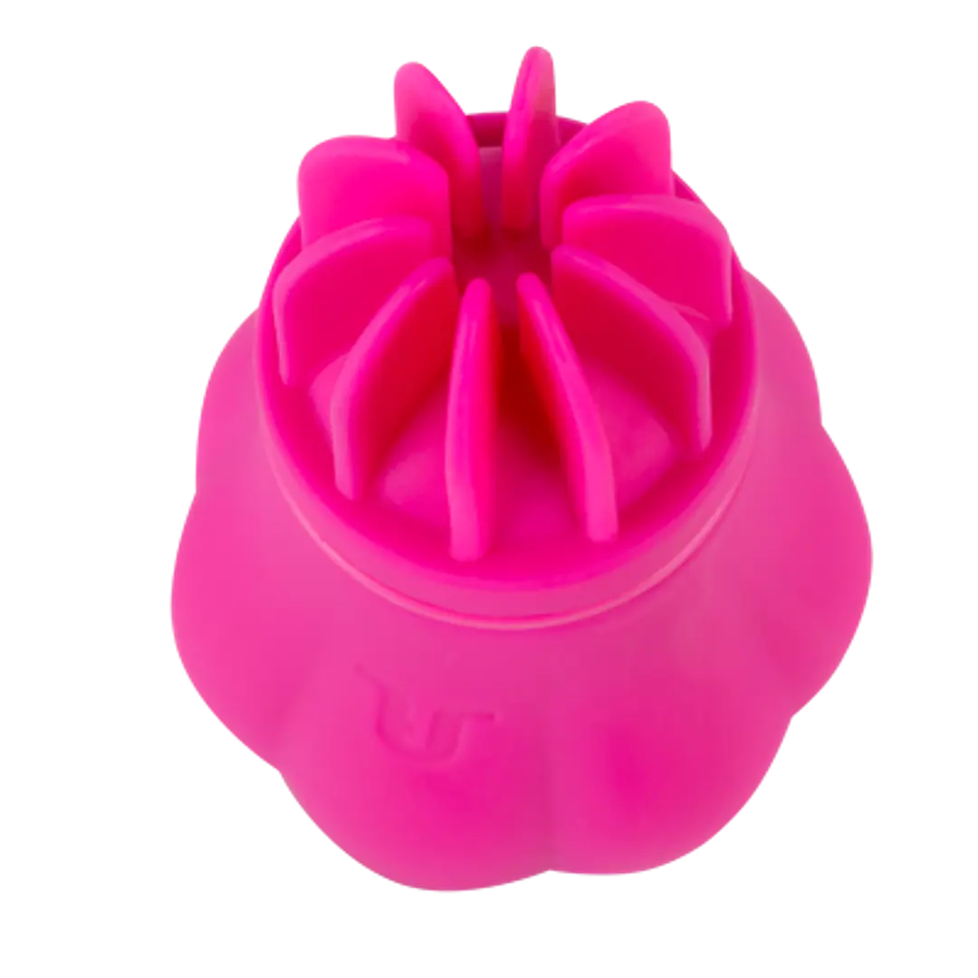 Vibrador 5 Cabezales Caress