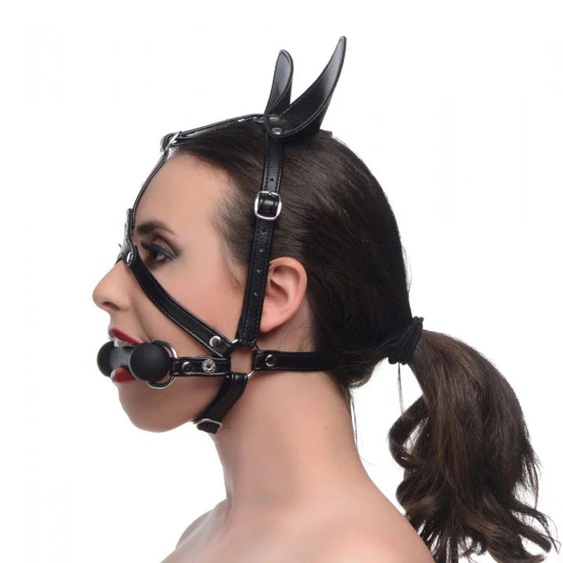 Arnés de Cabeza Dark Horse